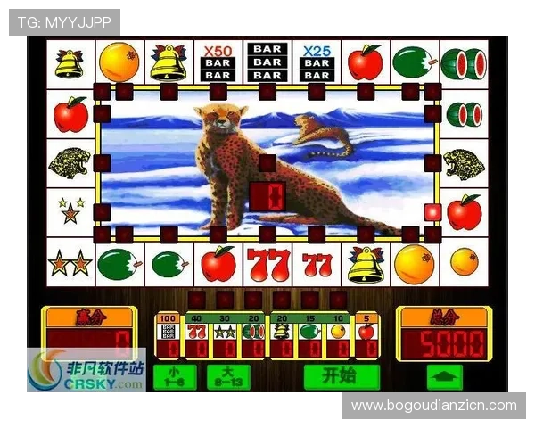 水果老虎机单机版下载网址免费获取，优质资源一站式下载体验