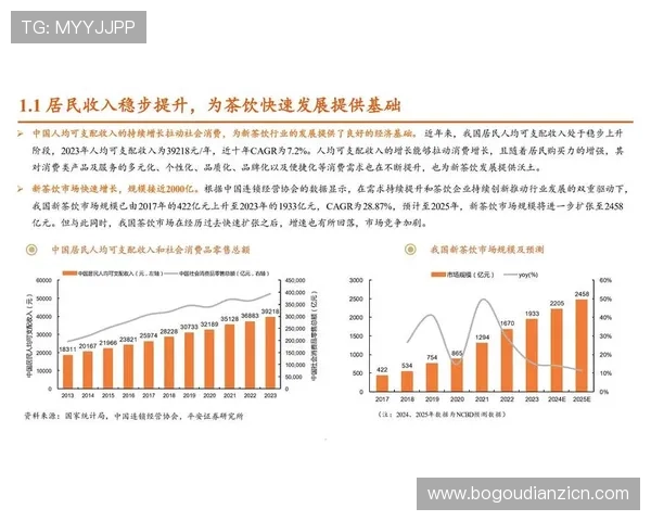 老虎机网娱乐的发展趋势与未来潜力分析，值得关注的市场