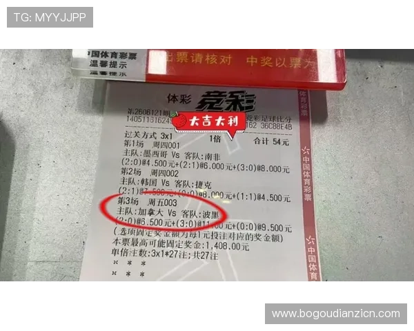 加拿大对阵波黑比赛最新战报：比分、精彩瞬间与赛后点评全方位解析